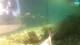 Brijuni 11.05.2025 11:29