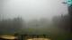 Rogla 09.06.2025 11:29