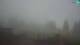 Cerkno 15.03.2025 11:29