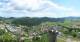 Griffen 17.05.2025 11:29