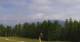 Folgaria 12.07.2025 11:29