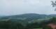 Zierling 02.07.2025 11:29