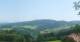 Zierling 14.06.2025 11:29