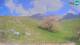 Kobarid 01.05.2025 11:30