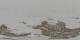 St. Moritz 09.05.2025 11:29