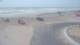 Corpus Christi, Texas 30.04.2025 11:31