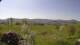 Gersfeld 29.04.2025 11:34