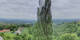 Kitzeck im Sausal 25.04.2025 11:31