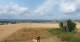 Schallodenbach 15.07.2025 11:33