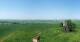 Schallodenbach 29.04.2025 11:32