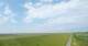 Westerhever 01.07.2025 11:31
