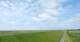 Westerhever 15.06.2025 11:31