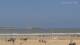 Essaouira 15.06.2025 11:28