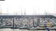 Noirmoutier 29.04.2025 11:33