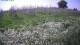 Marsiglia 29.04.2025 11:33