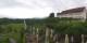 Herrnchiemsee 08.06.2025 11:30