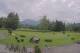 Kitzbühel 09.07.2025 11:32