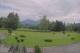 Kitzbühel 15.07.2025 11:34