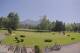 Kitzbühel 14.06.2025 11:32