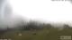 Burnt Pine (Norfolk Island) 02.07.2025 11:32