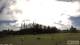 Burnt Pine (Norfolk Island) 08.07.2025 11:32