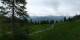 Luchsingen 15.06.2025 11:31