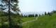 Luchsingen 09.06.2025 11:31