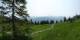 Luchsingen 09.06.2025 11:31