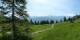 Luchsingen 14.06.2025 11:31