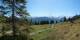 Luchsingen 29.04.2025 11:31