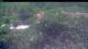 Les Anses-d'Arlet 25.06.2025 11:37