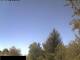 Miehlen 01.05.2025 11:33