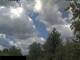 Miehlen 15.05.2025 11:33