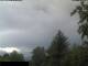 Miehlen 17.05.2025 11:33