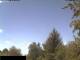 Miehlen 20.03.2025 11:33