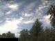 Miehlen 05.07.2025 11:32