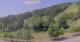 Hirschegg 15.06.2025 11:33