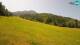 Kranjska Gora 09.06.2025 11:33