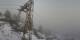 Maloja 09.05.2025 11:36