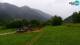 Kranjska Gora 08.07.2025 11:33