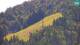Kranjska Gora 09.07.2025 11:33