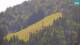 Kranjska Gora 14.06.2025 11:34