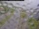 Maursund 14.06.2025 11:34
