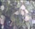 Wyk auf Föhr 08.06.2025 11:49