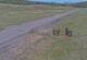 Creede, Colorado 08.06.2025 11:36