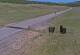 Creede, Colorado 14.06.2025 11:36
