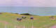 Donville-les-Bains 09.07.2025 11:03