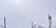 Crans-Montana 06.05.2025 11:34