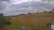 Daun 08.07.2025 11:49