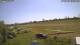 Daun 29.04.2025 11:49